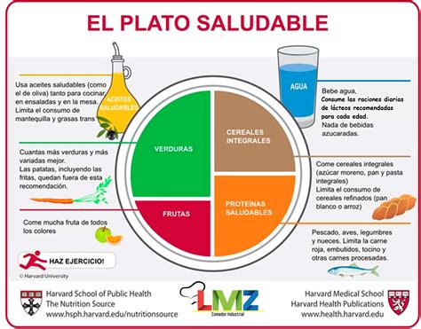 Esquema de un plato saludable según Harvard: destacando la proporción de proteínas donde el queso de calidad puede tener su lugar.