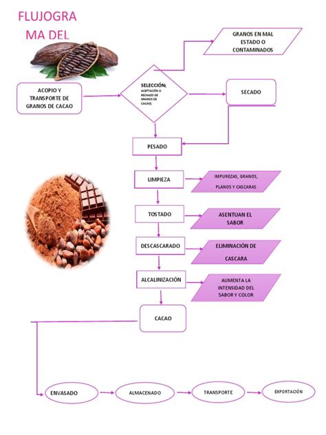 Diagrama que ilustra las diferentes formas cristalinas de la manteca de cacao y sus puntos de fusión.