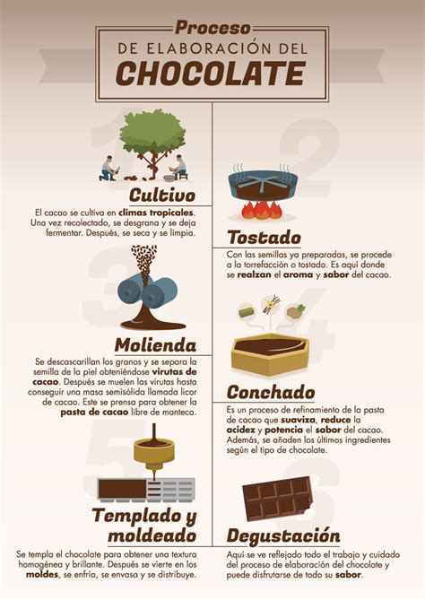 infografía sobre el proceso de elaboración del chocolate gourmet, desde el grano hasta la tableta