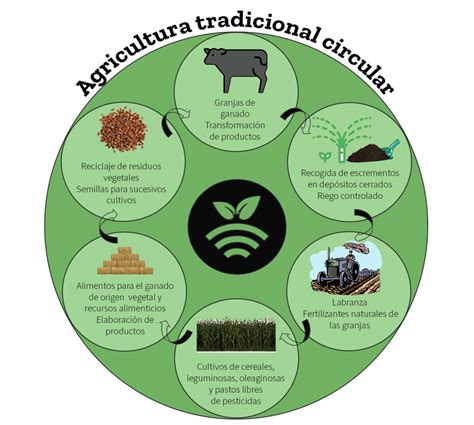 Esquema de la economía circular en la industria del salmón y la agricultura