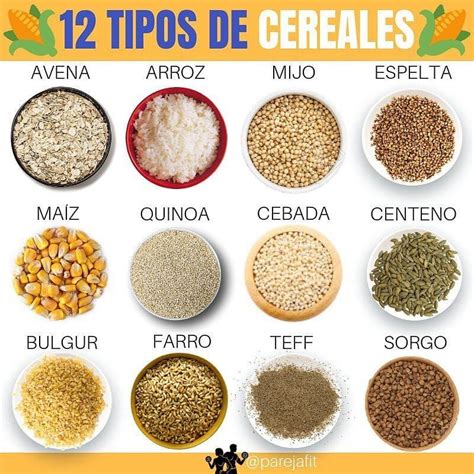 Esquema visual de diferentes tipos de cereales y granos aptos para empanizar