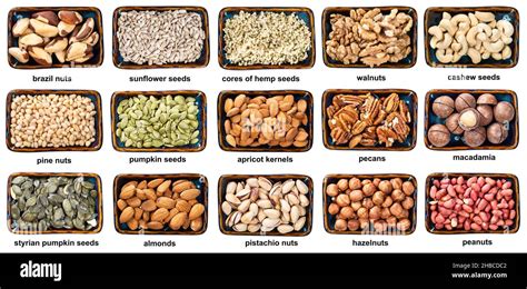 Variedad de frutos secos y semillas trituradas en cuencos pequeños