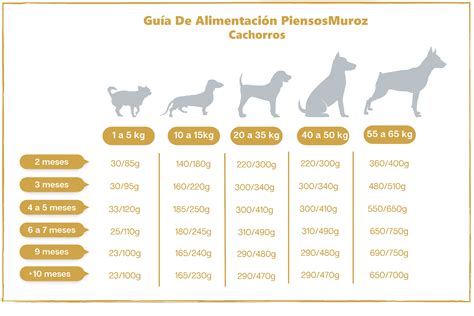 Infografía: Tabla de alimentación diaria para cachorros por peso y edad