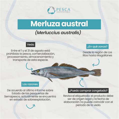Esquema del ciclo reproductivo de la merluza austral y su adaptación al cambio climático
