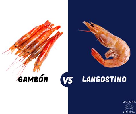 Comparativa visual de gambas frescas (brillantes, rojo rosado) y en mal estado (opacas, grises).