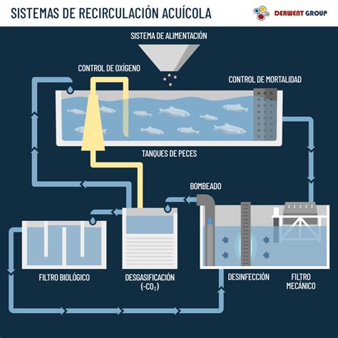 Esquema de una instalación de acuicultura de recirculación parcial (RAS)