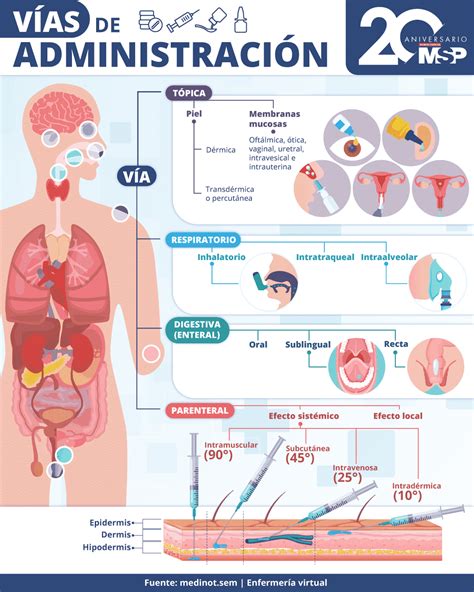 Esquema de las vías de administración de medicamentos en pollos
