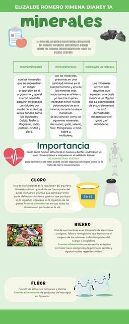 Infografía detallada sobre los minerales y vitaminas presentes en la manzana verde y el limón