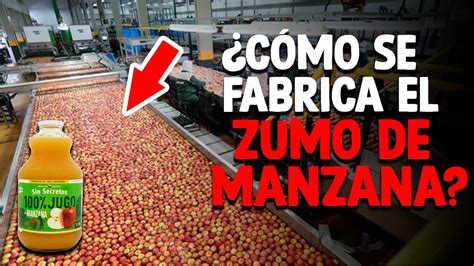 Infografía: Antioxidantes en el zumo de manzana y sus efectos