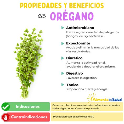 Diagrama de las propiedades del orégano y su impacto en el sistema digestivo