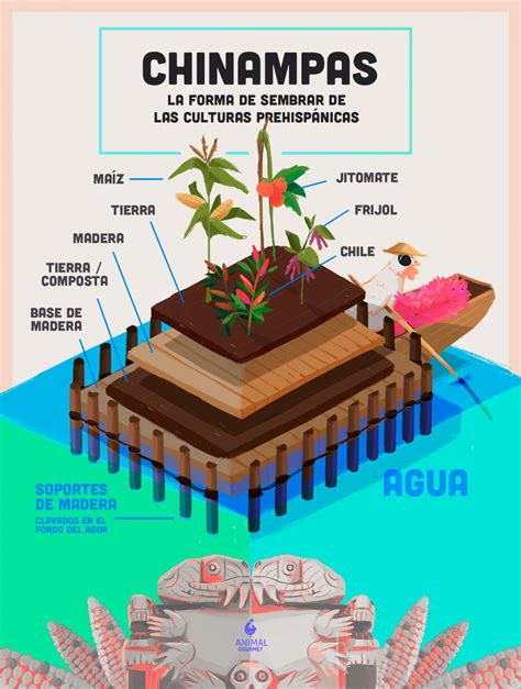 Esquema de construcción de una chinampa azteca, mostrando postes, capas de vegetación y lodo