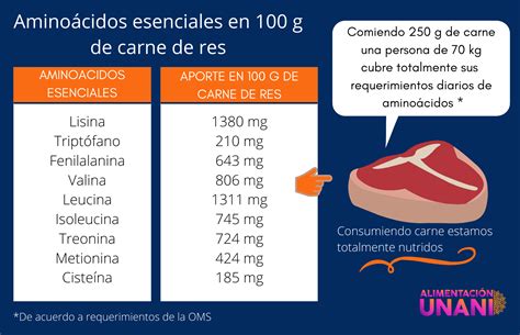 Infografía comparativa de perfiles de aminoácidos en carne de res y proteína de soya
