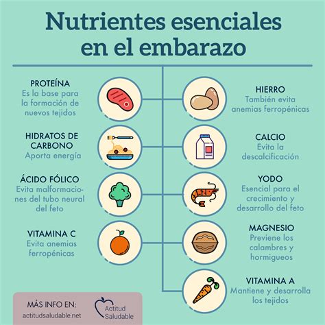 Infografía de nutrientes esenciales para el embarazo