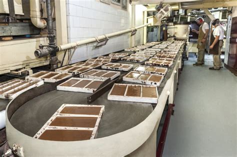 Línea de producción de chocolate con etapas de moldeado y enfriado
