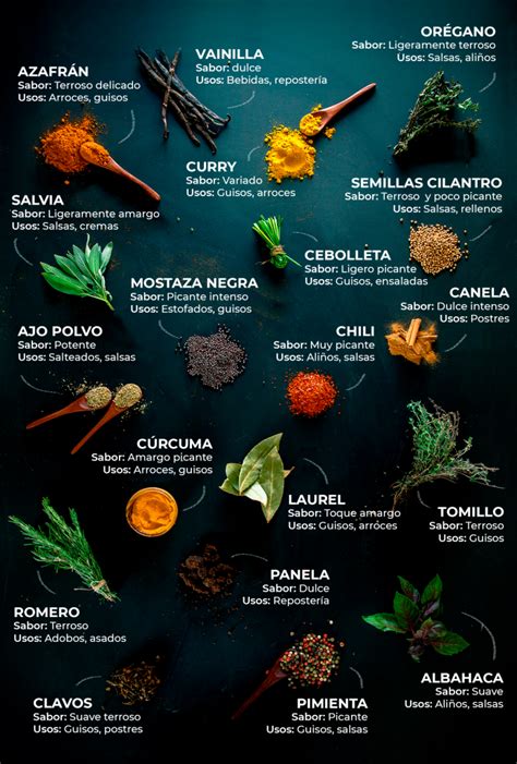 infografía con los tipos de especias y sus usos culinarios