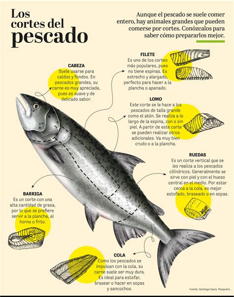 Infografía mostrando cortes de pescado para sashimi