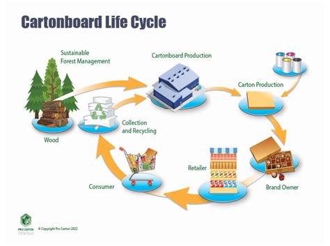 Infografía que explica el ciclo de vida del cartón biodegradable y su proceso de reciclaje en la industria del embalaje.