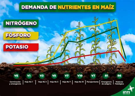 Tabla de resultados biométricos y económicos del maíz con diferentes fertilizantes