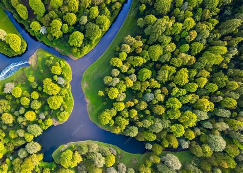 Foto: Vista aérea de un bosque comestible tropical con diferentes cultivos y senderos