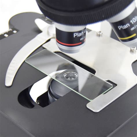 Microscopio con portaobjetos preparado