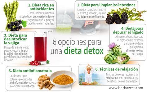 Esquema: Las etapas de una dieta detox y su duración