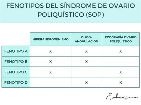 Esquema detallado de los cuatro fenotipos del SOP (A, B, C, D) según la combinación de síntomas clínicos y hallazgos ecográficos.