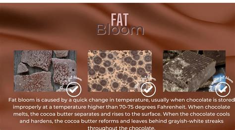 Infografía: proceso de fat bloom en chocolate