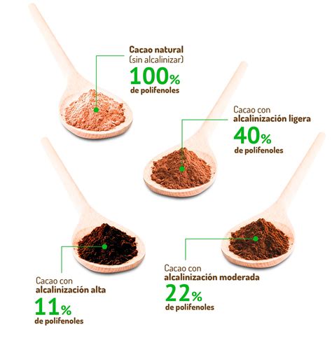 Gráfico informativo sobre los nutrientes y antioxidantes del cacao