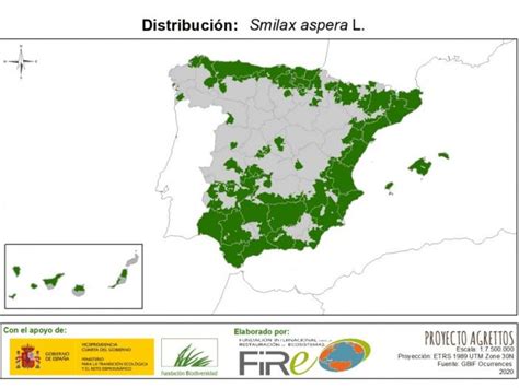Mapa de distribución geográfica de Smilax aspera, indicando las regiones donde se encuentra.