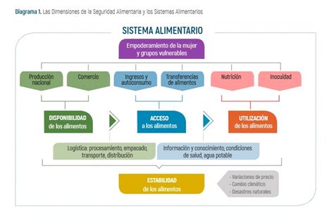 Esquema sobre la seguridad alimentaria en la preparación de aves de corral
