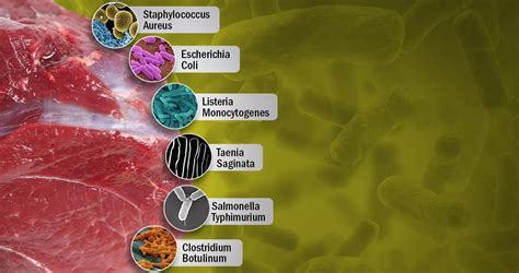 Gráfico de bacterias comunes en pollo crudo y sus efectos