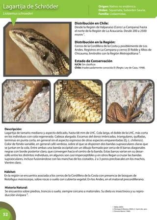 Infografía: Dieta insectívora de la lagartija