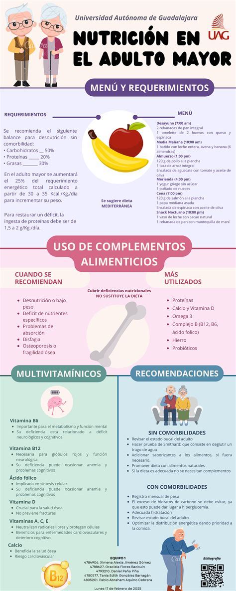 Infografía sobre las necesidades nutricionales del Mastín Napolitano en diferentes etapas de la vida.