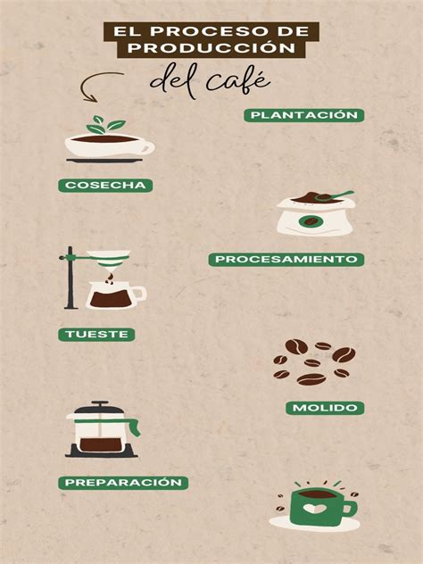 Infografía detallada del proceso de producción de cecinas, incluyendo crianza y elaboración