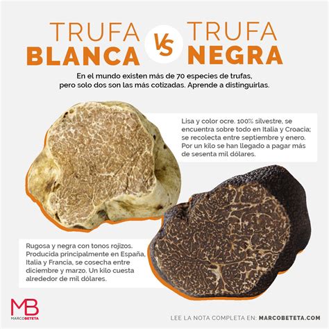 Comparativa visual de trufa blanca y trufa negra, resaltando sus diferencias de color y textura.