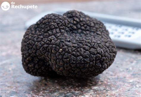 Fotografía de una trufa negra gigante encontrada en Australia.