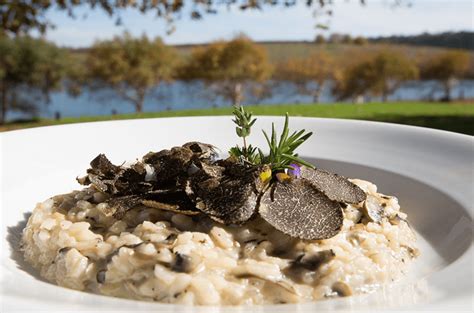 Plato de pasta o risotto decorado con finas láminas de trufa rallada.