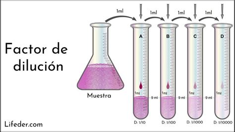 Esquema mostrando la dilución del café con hielo