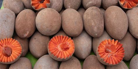 Ilustración de la fruta lúcuma, con piel marrón y pulpa anaranjada