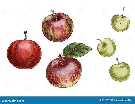 Ilustración de diversas manzanas, algunas rojas y otras ligeramente magulladas, sobre un fondo neutro.