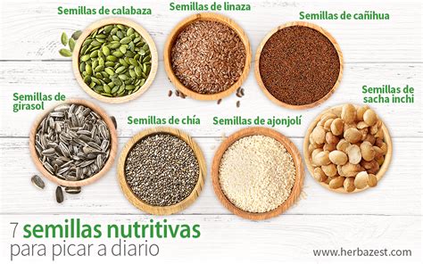 Infografía: Datos nutricionales de las semillas de albahaca