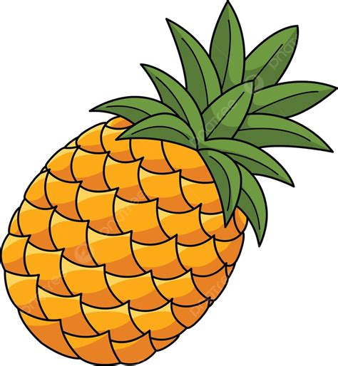 Dibujo de piña en proceso, con líneas de boceto y algunas texturas