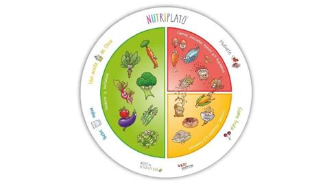 Infografía: El plato saludable o Nutriplato con las proporciones de alimentos. Esquema del método de la mano para porciones infantiles