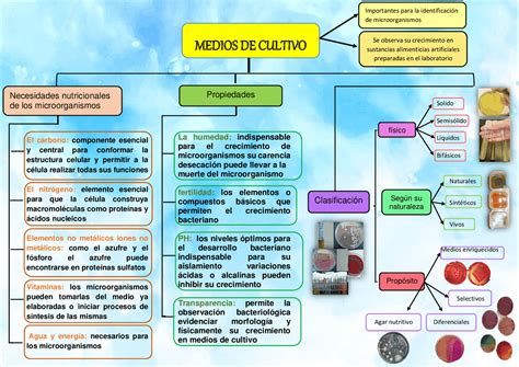 Esquema de las clasificaciones y componentes esenciales de los medios de cultivo