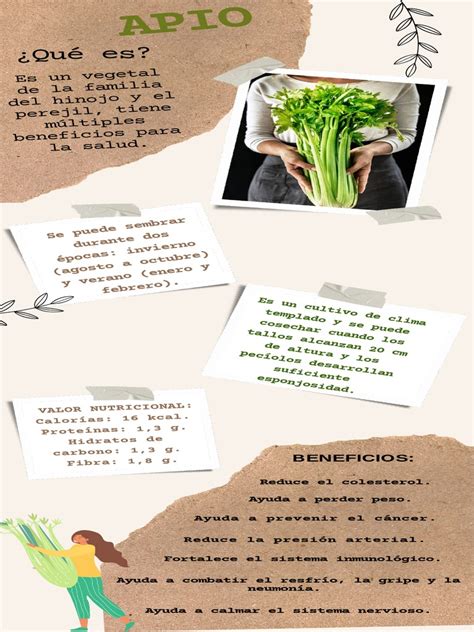Infografía nutricional comparando espárragos, apio y acelgas.