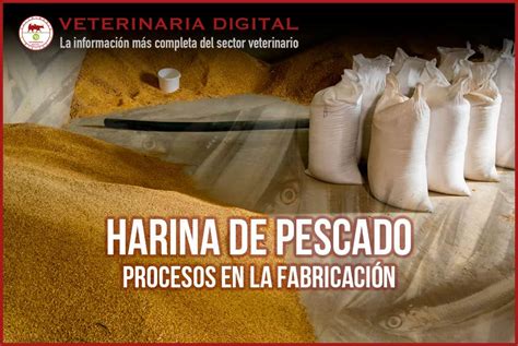 Infografía sobre la cadena de producción de harina de pescado, desde la captura hasta el producto final.