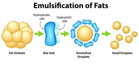 Esquema visual de las cuatro técnicas de pastelería: emulsificación, texturas aireadas, espesamiento y gelificación