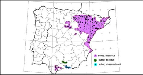 Mapa de distribución de las subespecies de Solanum tuberosum