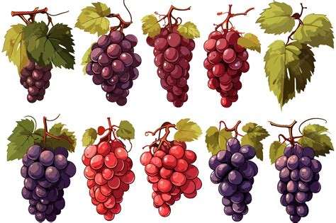 Ilustración de racimos de uvas variadas, con iconos representando beneficios para el corazón, cerebro y articulaciones.