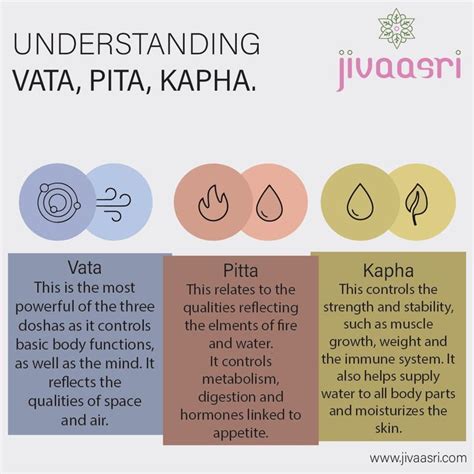 Infografía comparativa de ingredientes y proporciones de ensalada adaptada a Vata, Pitta y Kapha.
